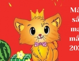 Bảng màu sắc may mắn của 12 con giáp năm 2023