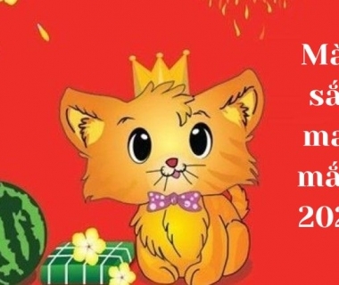 Bảng màu sắc may mắn của 12 con giáp năm 2023